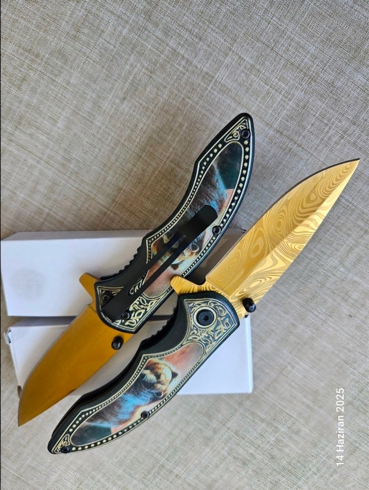 PİCASSO TABLOSU ADETA - Görsel 5