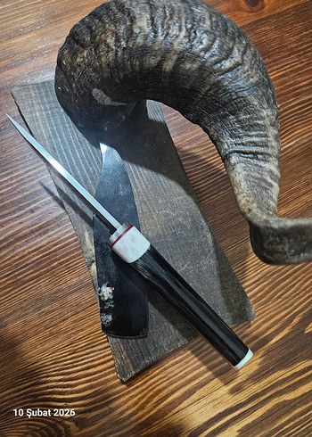 KOÇ BOYNUZU / N690 KOLEKSİYONLUK - Görsel 6