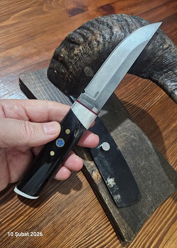 KOÇ BOYNUZU / N690 KOLEKSİYONLUK - Görsel 8