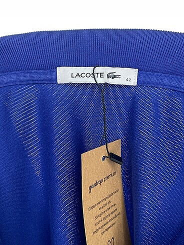 42 Beden lacivert Renk Lacoste T-shirt %70 İndirimli.