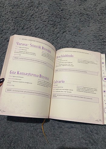 Harry Potter Büyü Kitabı - Görsel 3