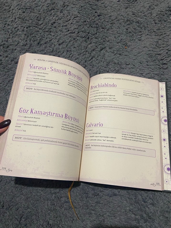 Harry Potter Büyü Kitabı - Görsel 3