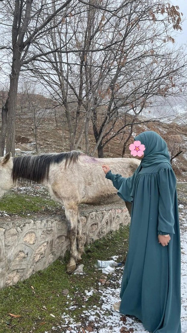 özel dikim Medine ipeği ferace ve şal - Görsel 4