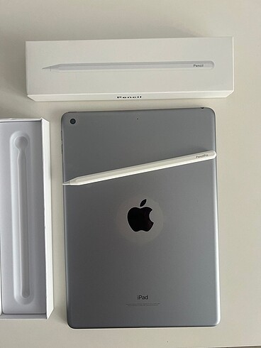 Apple Pencil Pro Tablet Kalemi