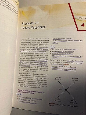  Beden Proprioseptif nöromusküler fasilitasyon