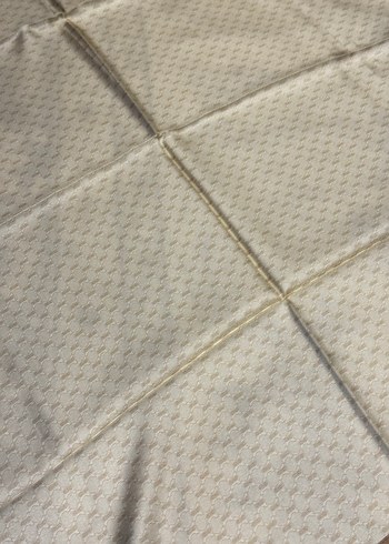 Bej Parlak twill Kadın eşarp - Görsel 2