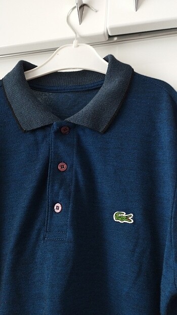 Lacoste Polo yaka t-shirt