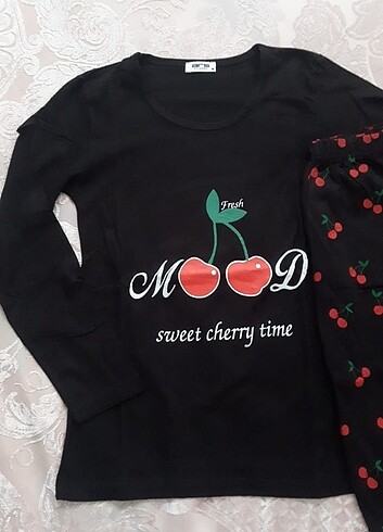 Diğer Mevsimlik Pijama Takımı 
