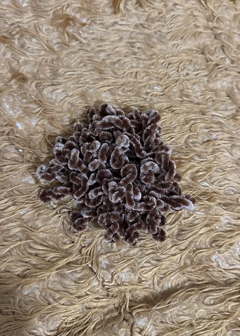 Kahverengi Yün Fırfırlı Saç Aksesuarı - Görsel 3