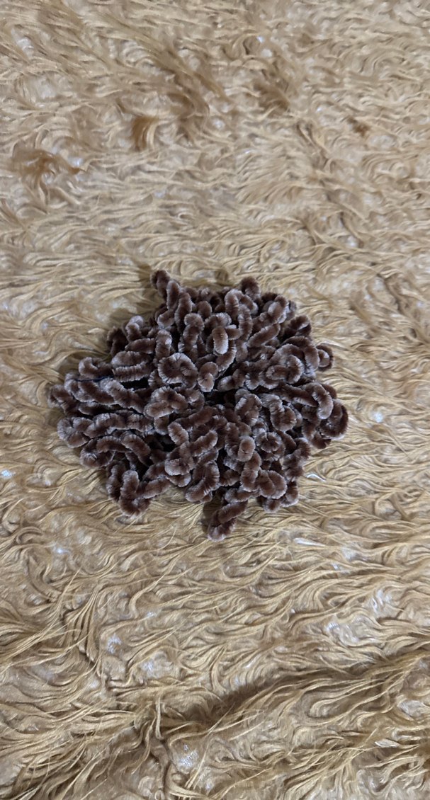 Kahverengi Yün Fırfırlı Saç Aksesuarı - Görsel 2