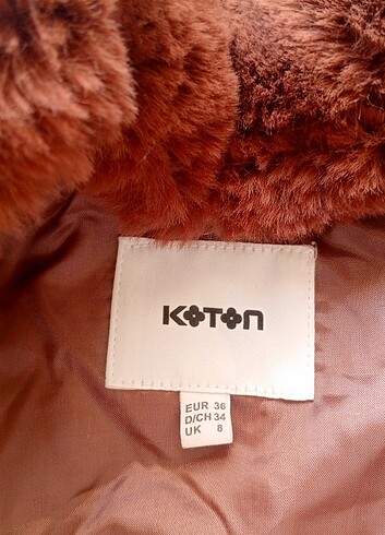 36 Beden KOTON