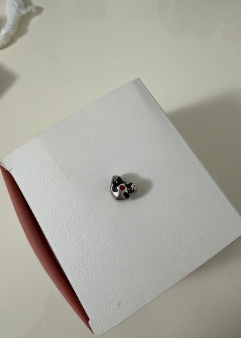 Pandora Charm