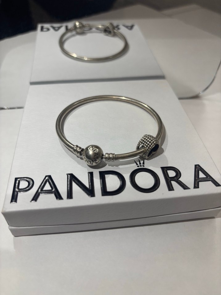 Pandora Bileklik ve Charm - Görsel 3