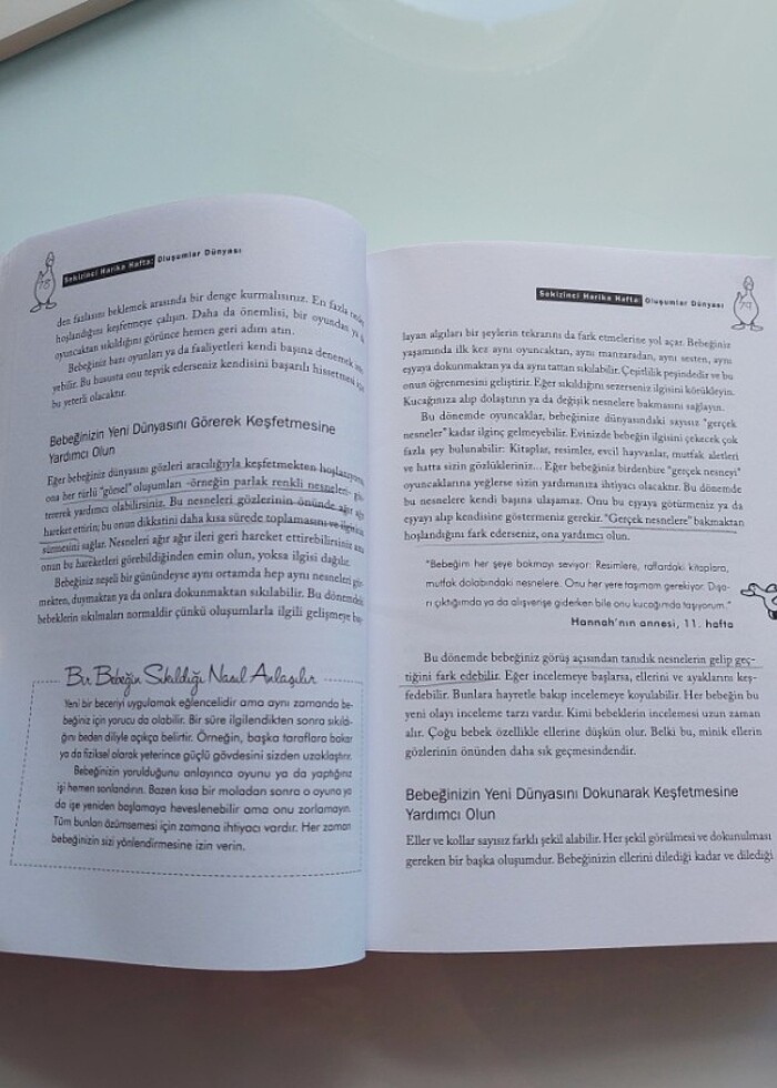 Harika Haftalar Bebek Bakım Kitabı - Görsel 3