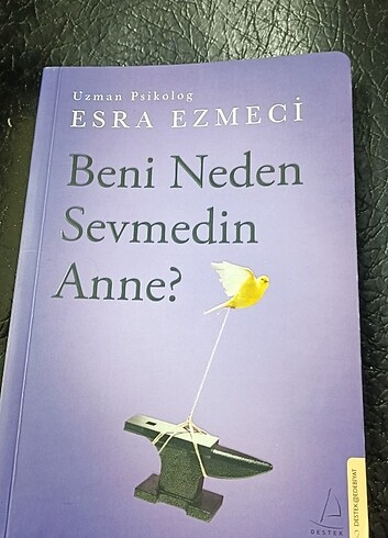 Esra ezmeci beni neden sevmedin anne? Kitap