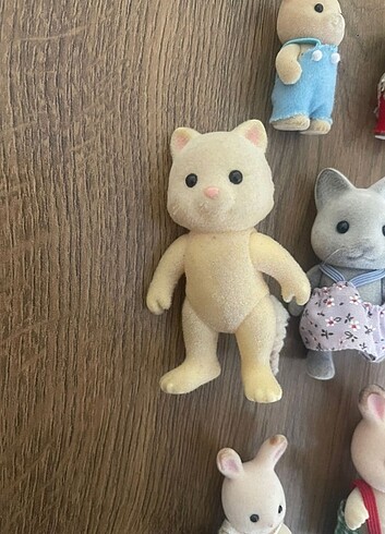 Beden Renk Sylvanian families