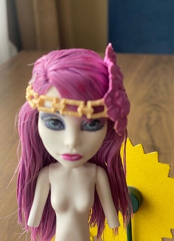 Beden Renk Monster high spectra