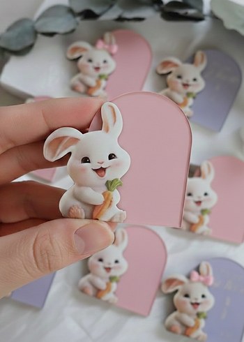 Tavşan Figürlü Diş Çıkarma Magnetleri - Görsel 3