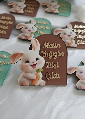 Tavşan Figürlü Diş Çıkarma Magnetleri - Görsel 2