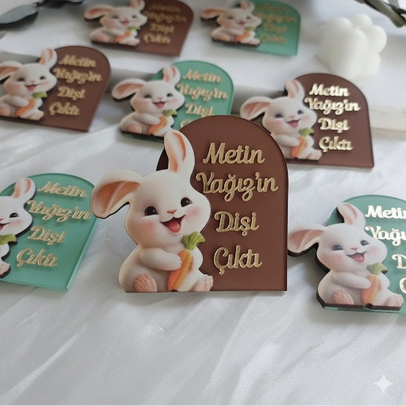 Tavşan Figürlü Diş Çıkarma Magnetleri - Görsel 2