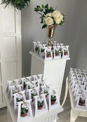 Beyaz Saksılı Sukulent Dekoratif Çerçeve - Görsel 3