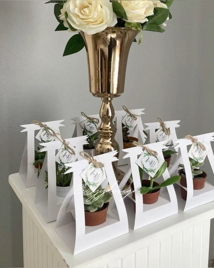 Beyaz Saksılı Sukulent Dekoratif Çerçeve - Görsel 2