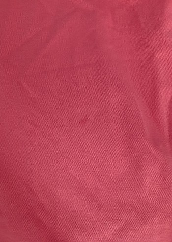 erkek polo tişört - Görsel 5