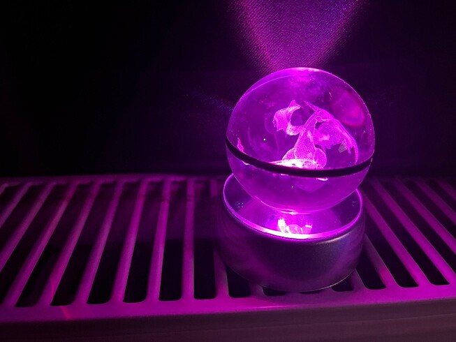 Pokemon 3 Boyutlu Işıklı Dekor Top - Görsel 4