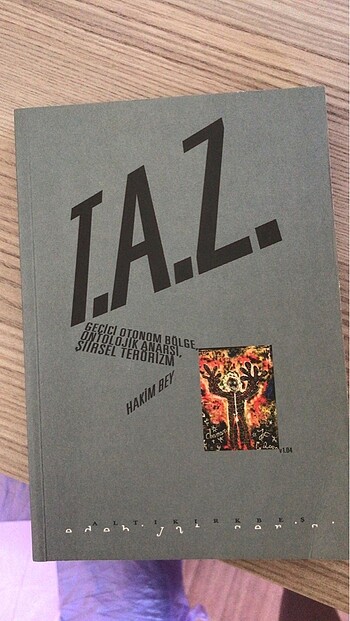  Taz Temporary Autonomous Zone