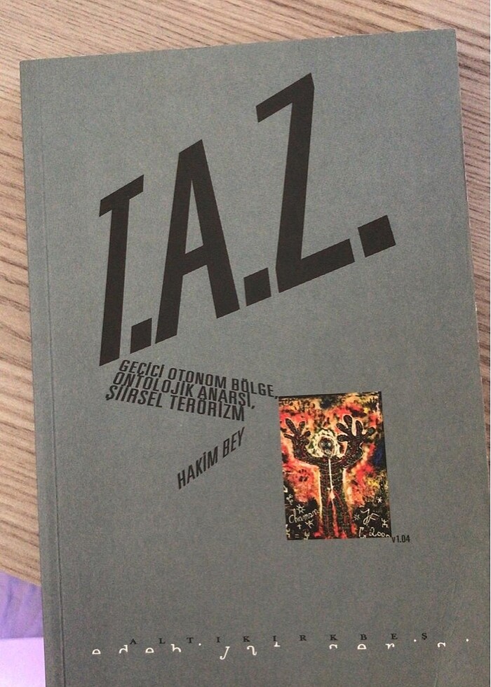 Taz Temporary Autonomous Zone - Görsel 2