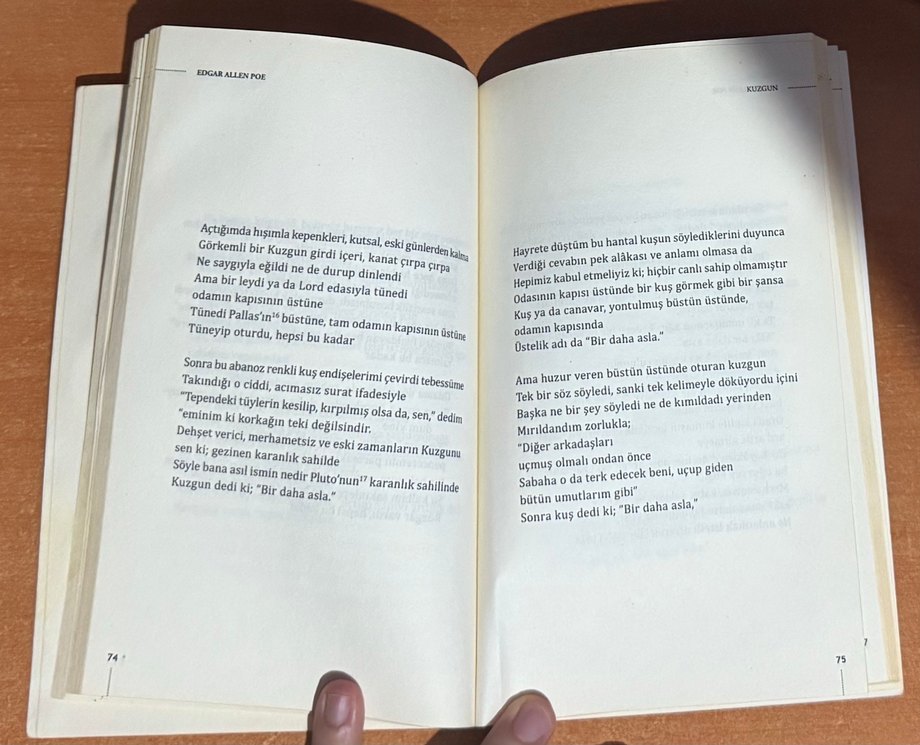 Edgar Allen Poe - Kuzgun Romanı - Görsel 3