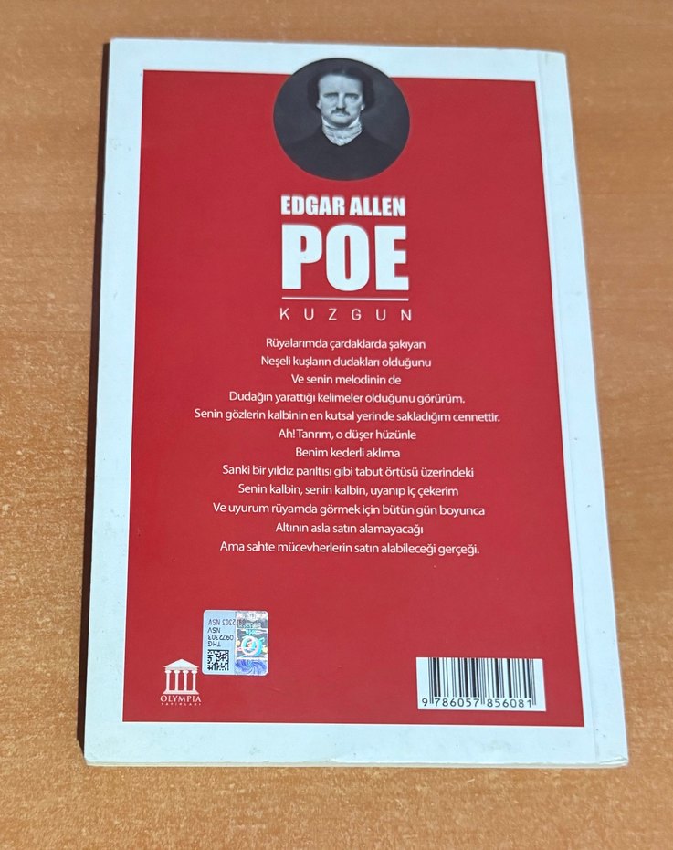 Edgar Allen Poe - Kuzgun Romanı - Görsel 2