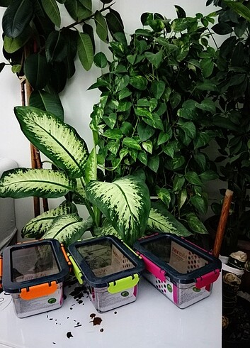 Diğer Akrilik 1 lt kilitli mikrodalgaya girebilen saklama kabı????