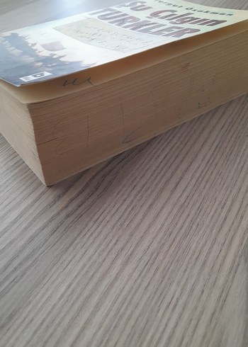 Su Çılgın Türkler - Turgut Özakman - Görsel 2