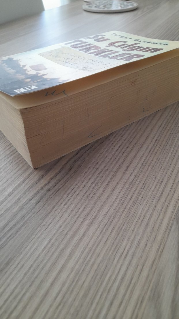 Su Çılgın Türkler - Turgut Özakman - Görsel 2