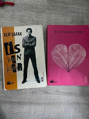 Edebi roman
