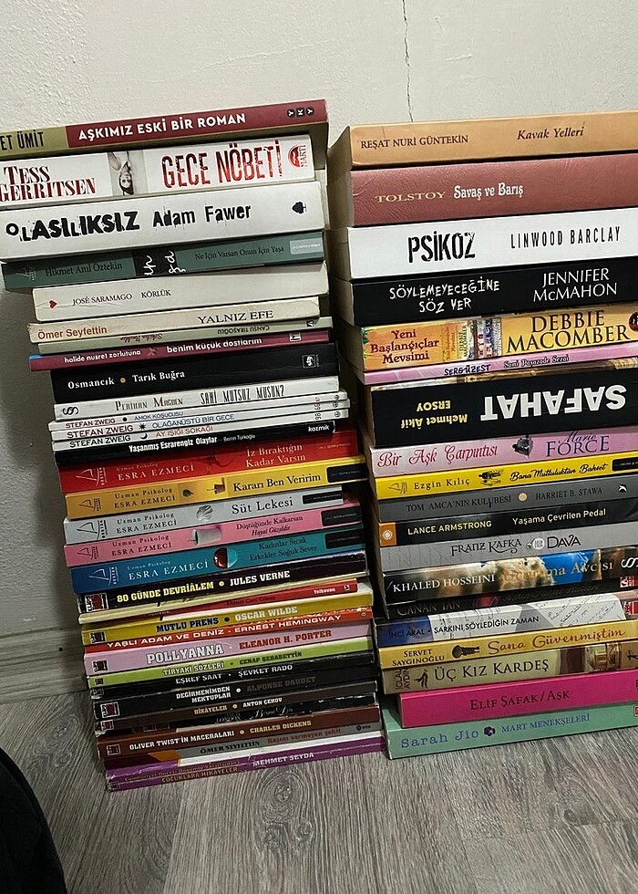 Edebi roman - Görsel 2