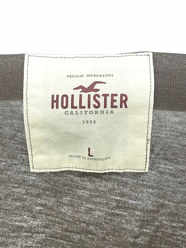 l Beden kahverengi Renk Hollister Bluz %70 İndirimli.