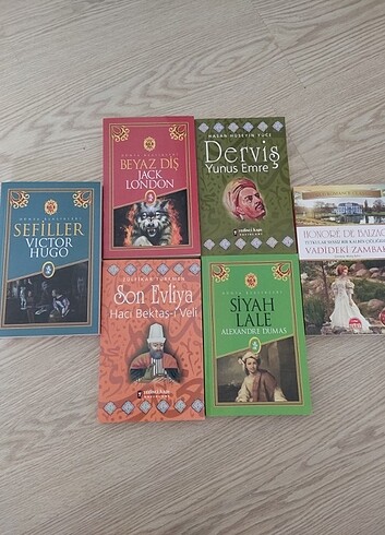 6 kitap