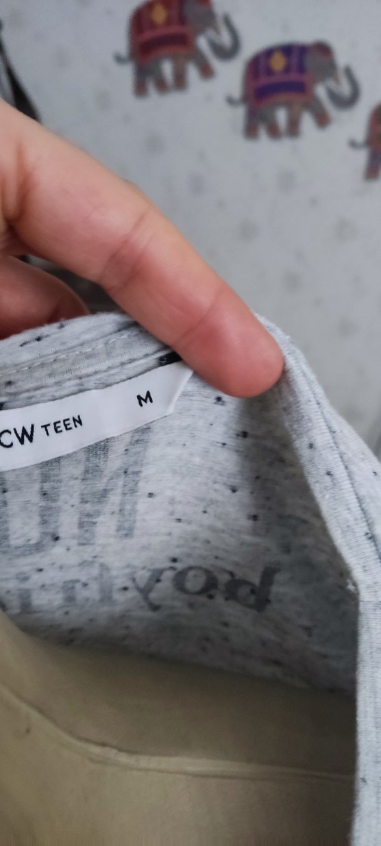 Gri Hamile Tişörtü Uzun Kollu Baskılı - Görsel 4