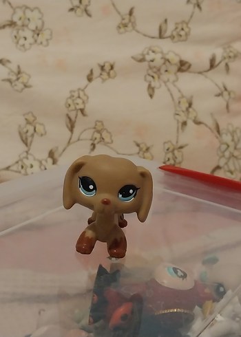 lps minişler