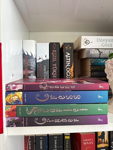 Ay Günlükleri serisi (3 ana kitap ve 1 ara kitap)
