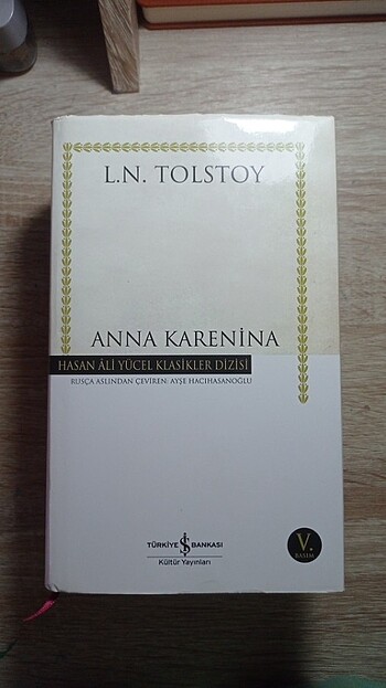 Anna karenina kitap