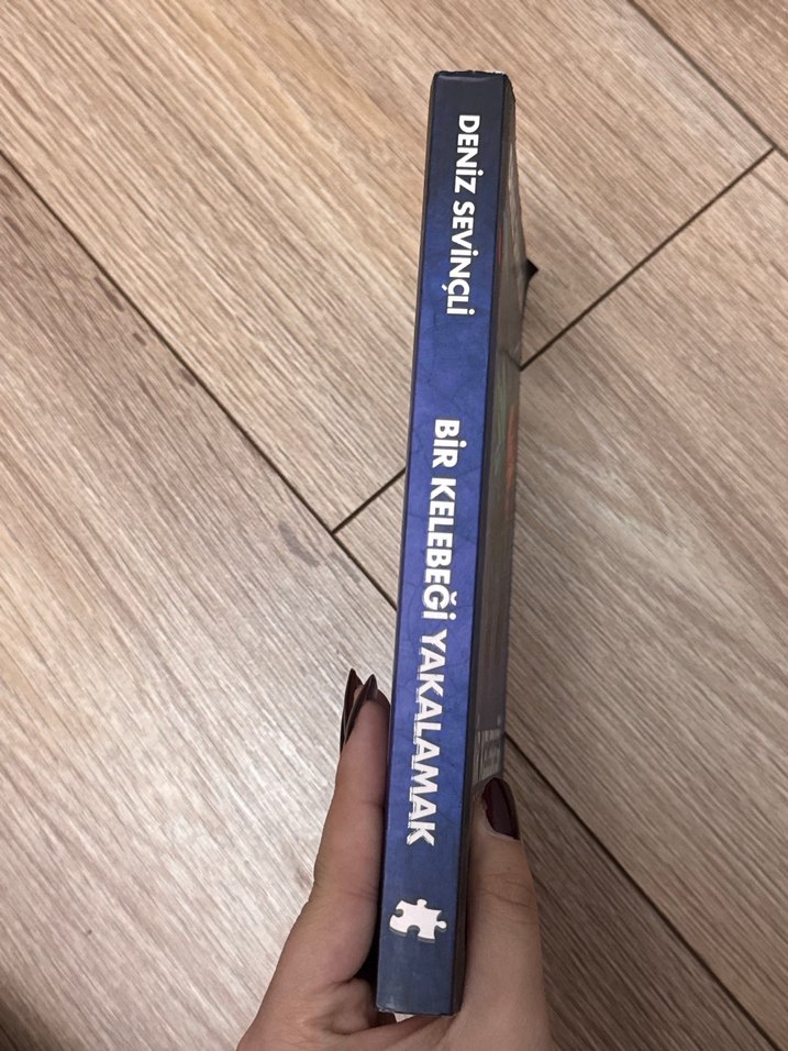 Bir Kelebeği Yakalamak - Deniz Sevinçli - Görsel 2