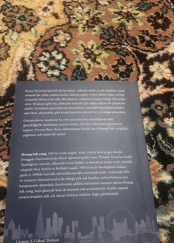 Prenses Bari - Hwang Sok-yong - Görsel 2