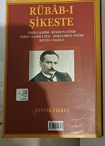  Rübabı şikeste