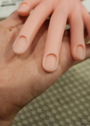 Tırnak Eğitimi El Modeli - Görsel 6