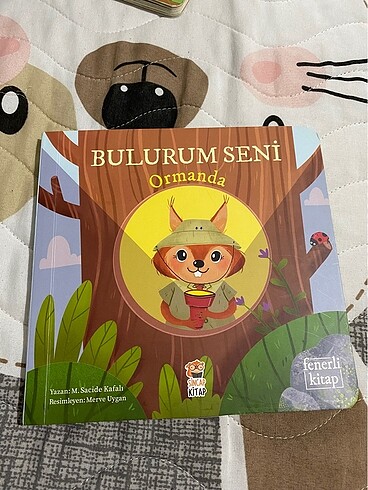 Fenerli kitap