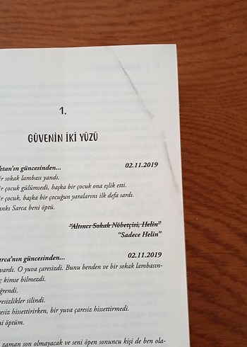 Sokak Nöbetçileri II - Aslı Arslan