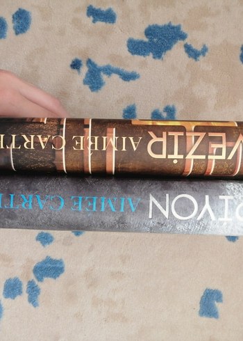 Beden Aimee Carter - Vezir & Piyon Roman Seti